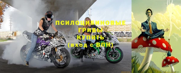 Альфа ПВП Магадан