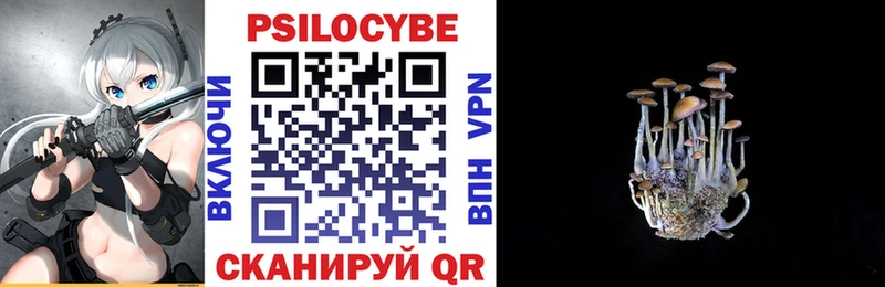 купить закладку  Нерехта  Галлюциногенные грибы Psilocybine cubensis 